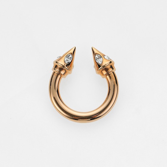 Titan Ring Galaxy