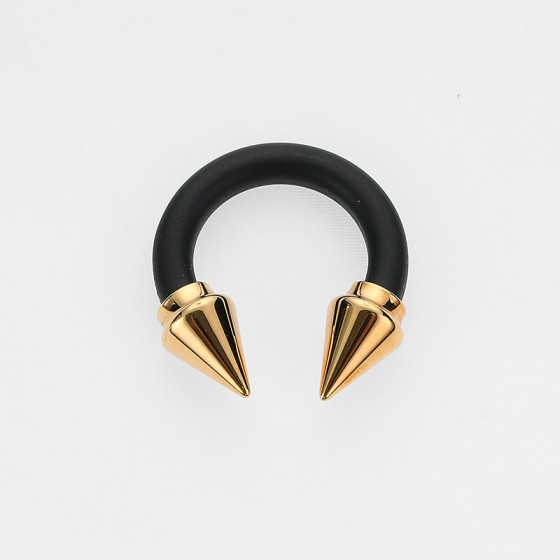 Titan Ring 2 Tone